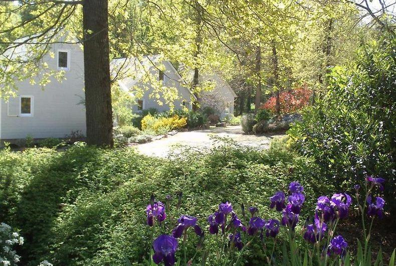 Les Chalets De Saumur, Piscine & Parc Boise, 100M Du Cadrenoir Екстер'єр фото